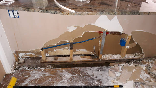 Best Water damage contractors near me  in Hanamaulu, HI