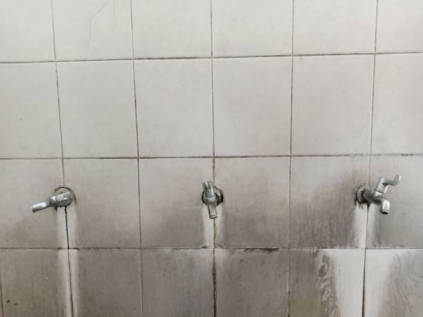 Best Emergency water damage restoration  in Hanamaulu, HI
