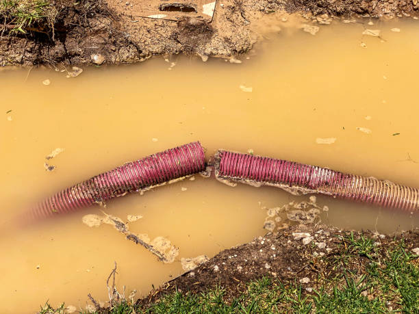 Hanamaulu, HI Water damage restoration Company