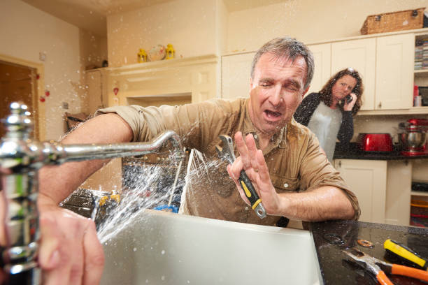 Best Commercial water damage restoration  in Hanamaulu, HI